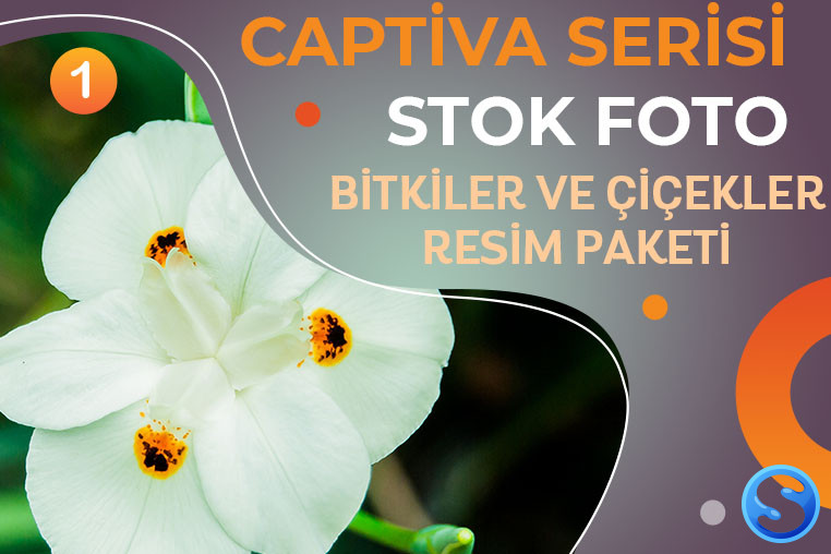 Captiva Serisi - Bitkiler ve Çiçekler Resim Paketi 1