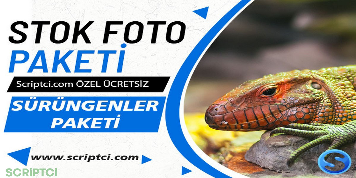 Hayvanlar Koleksiyonu - Sürüngenler Resim Paketi