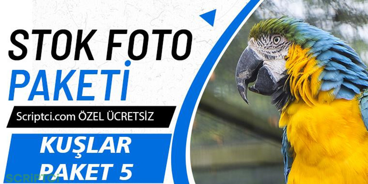 Hayvanlar Koleksiyonu - Kuşlar Paketi 5