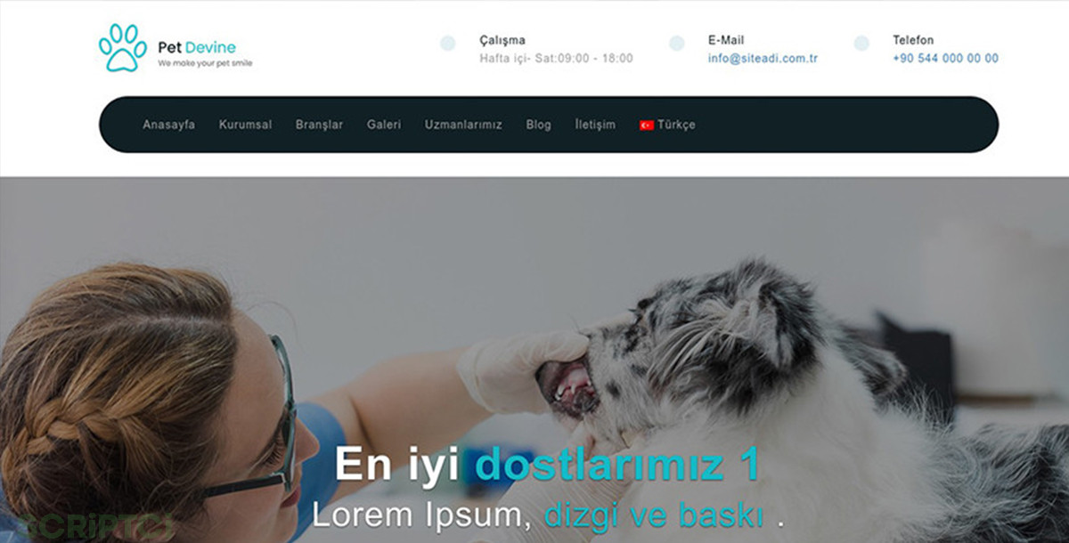 Veteriner Web Sitesi V02