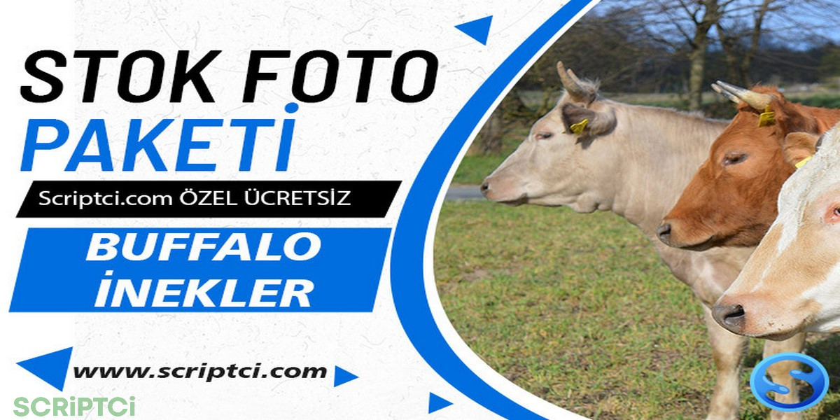 Hayvanlar Koleksiyonu - Buffalo İnekler Paketi