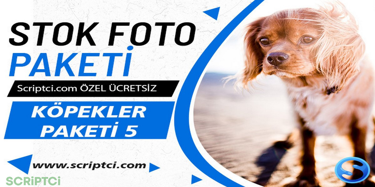 Hayvanlar Koleksiyonu - Köpekler Paketi 5