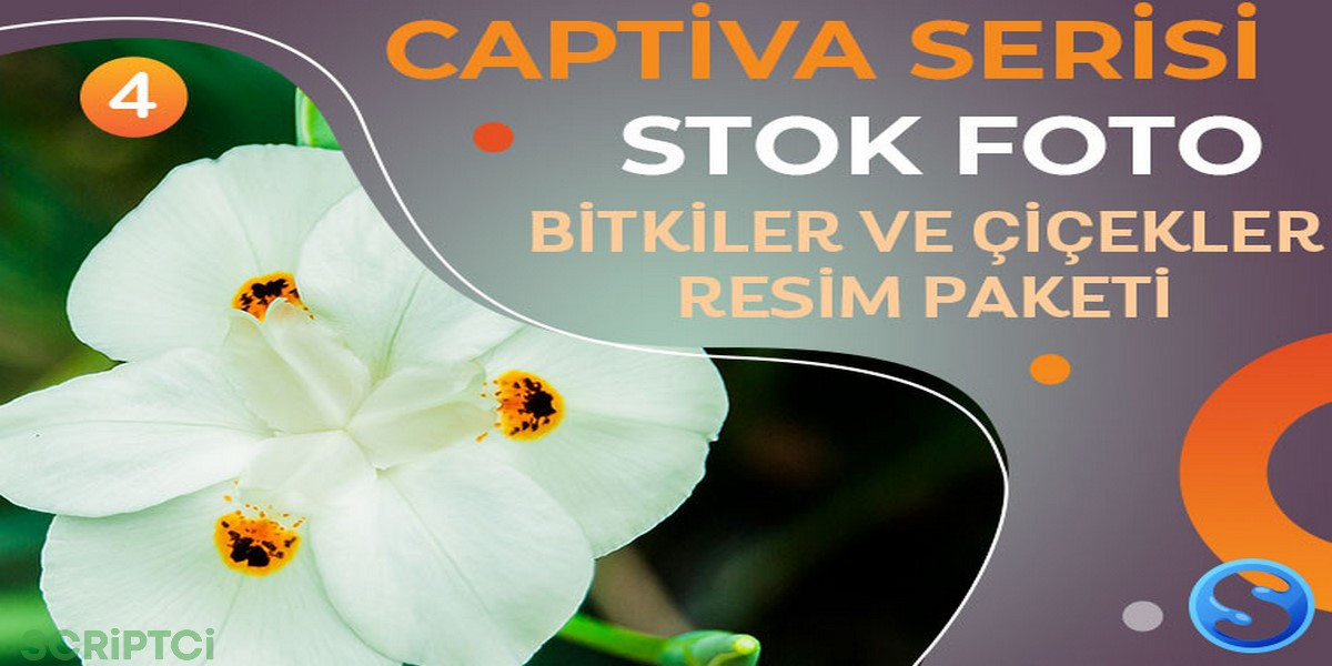 Captiva Serisi - Bitkiler ve Çiçekler Resim Paketi 4