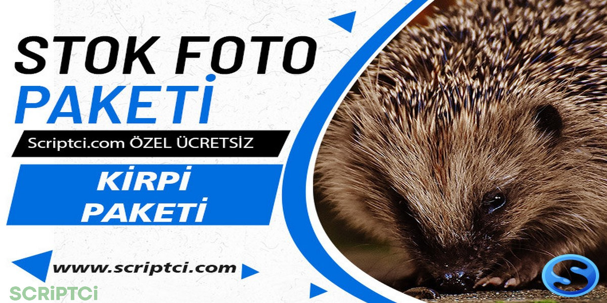 Hayvanlar Koleksiyonu - Kirpi Resim Paketi