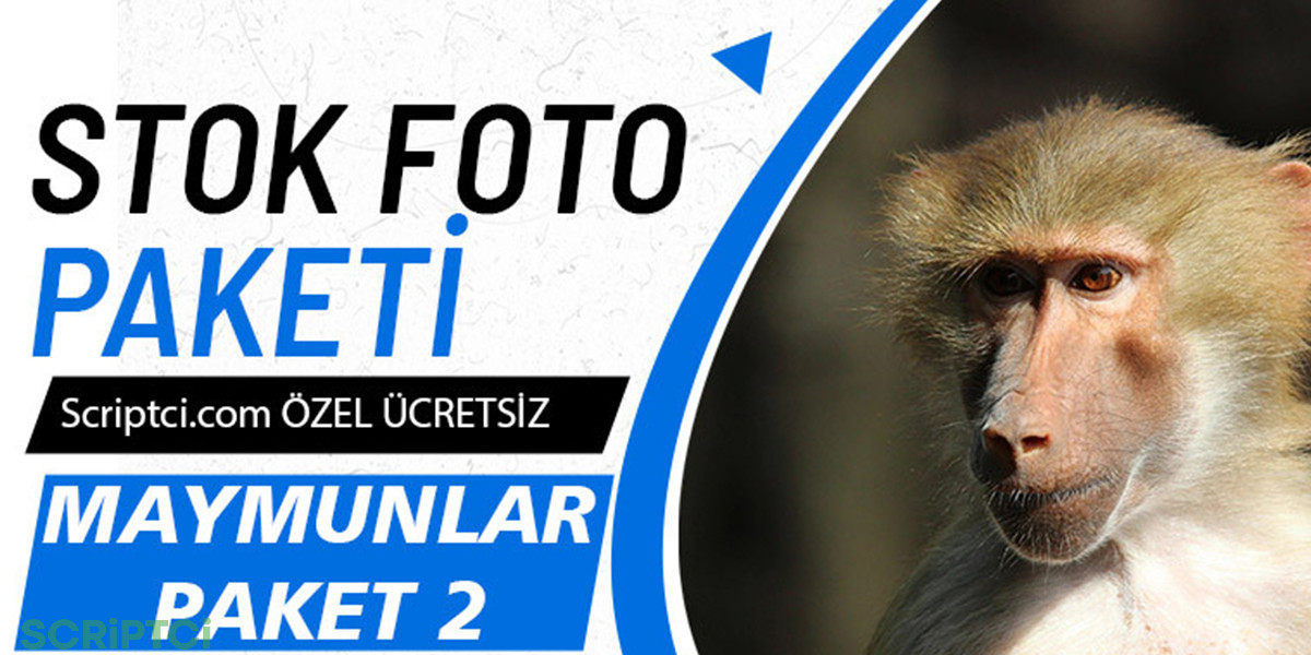 Hayvanlar Koleksiyonu - Maymunlar Paketi 2
