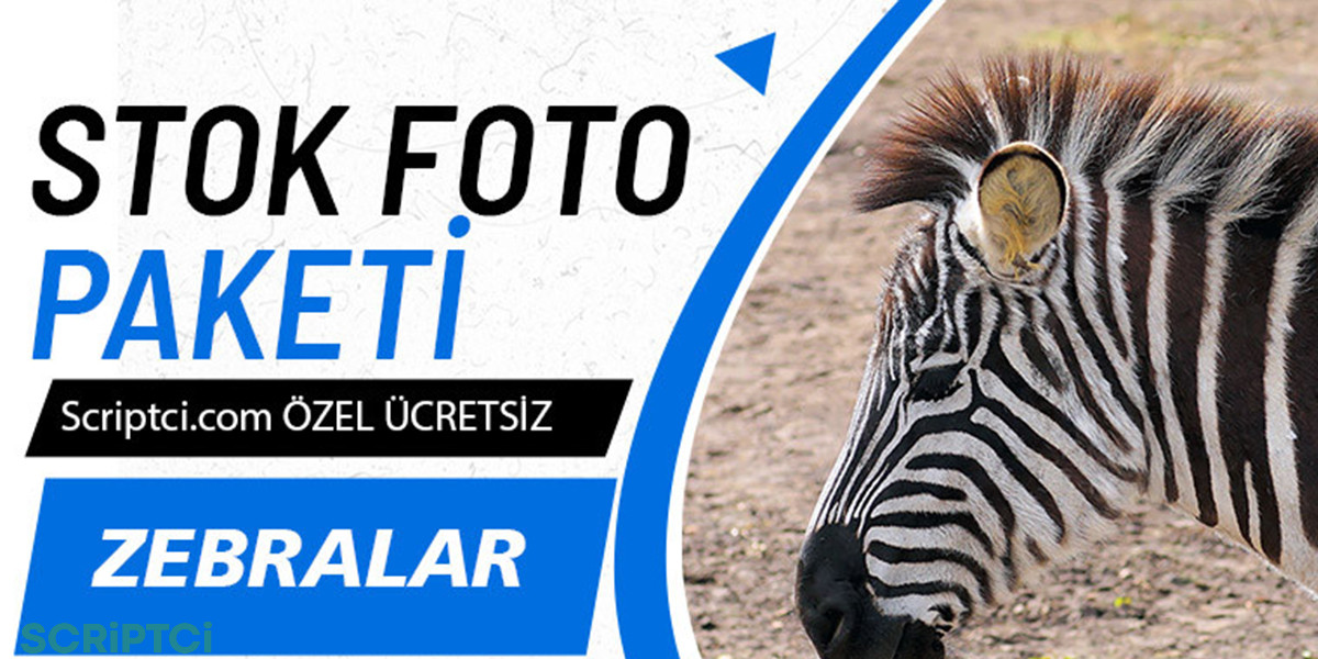 Hayvanlar Koleksiyonu - Zebra Paketi