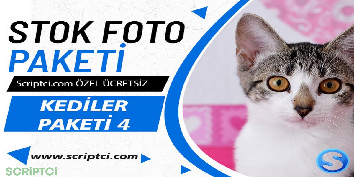Hayvanlar Koleksiyonu - Kedi Resim Paketi 4