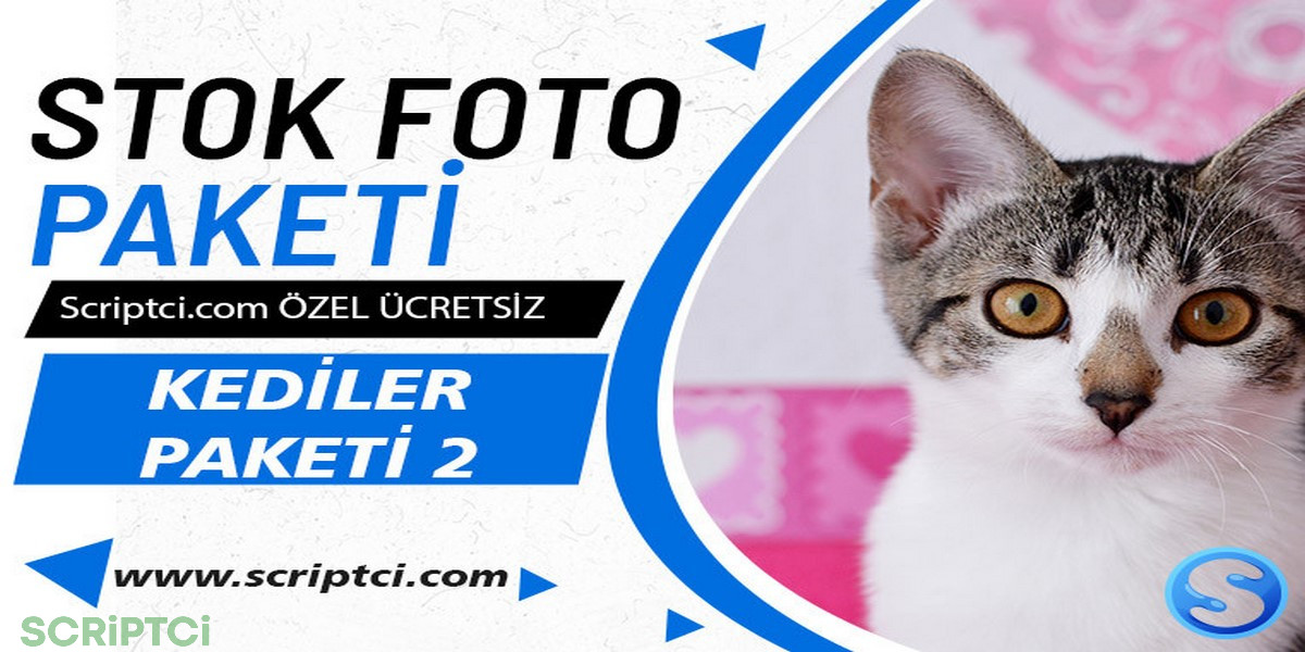 Hayvanlar Koleksiyonu - Kedi Resim Paketi 2