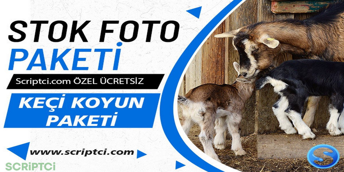 Hayvanlar Koleksiyonu - Keçi Koyun Resim Paketi