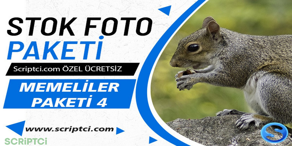 Hayvanlar Koleksiyonu - Memeliler Resim Paketi 3