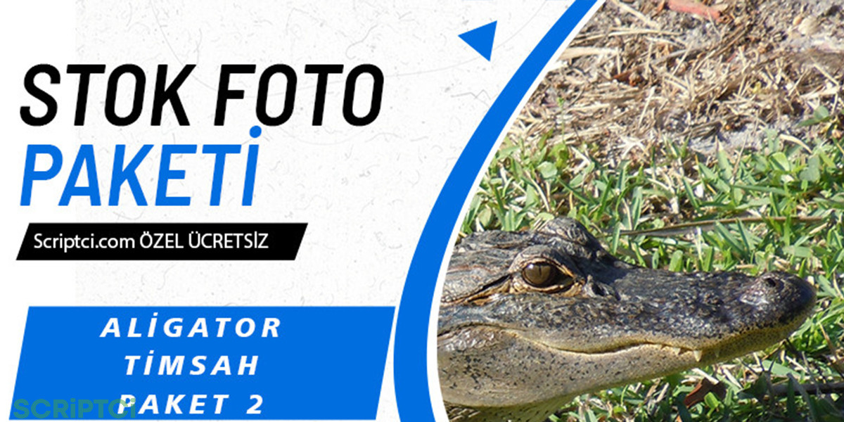 Hayvanlar Koleksiyonu - Aligator ve Timsah Paketi 2