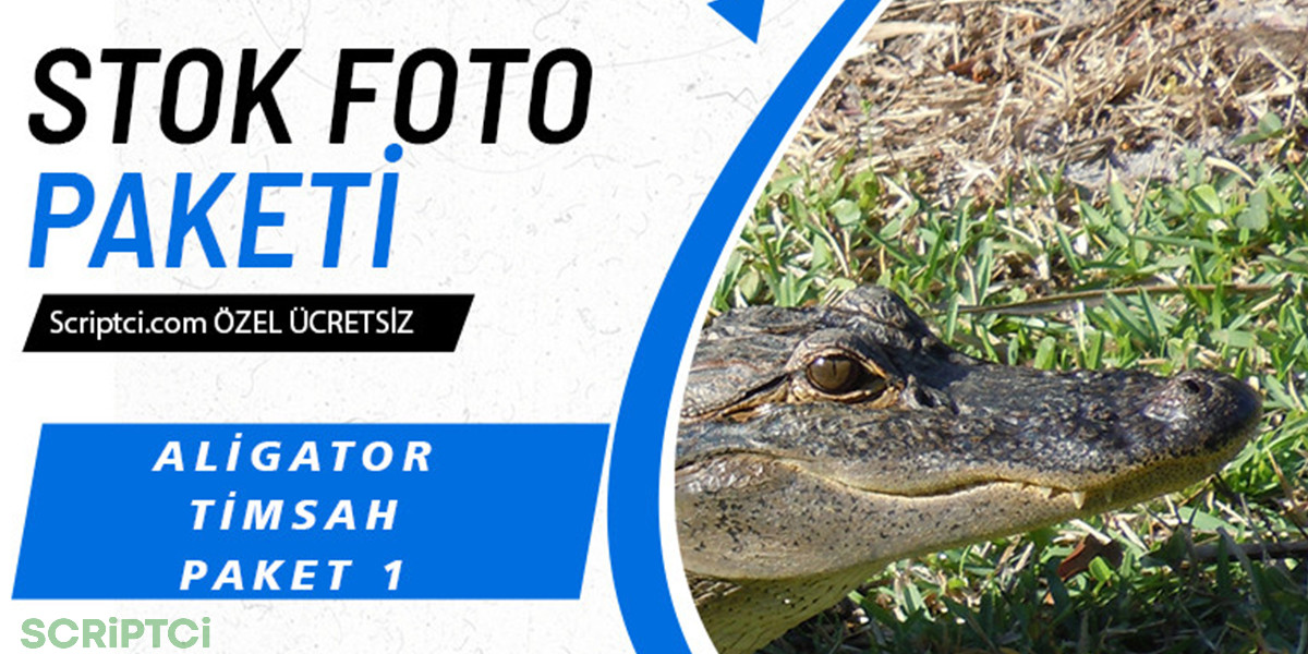 Hayvanlar Koleksiyonu - Aligator ve Timsah Paketi 1