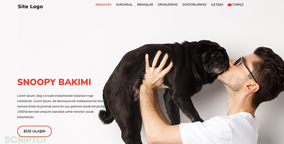 Veteriner Web Sitesi V01