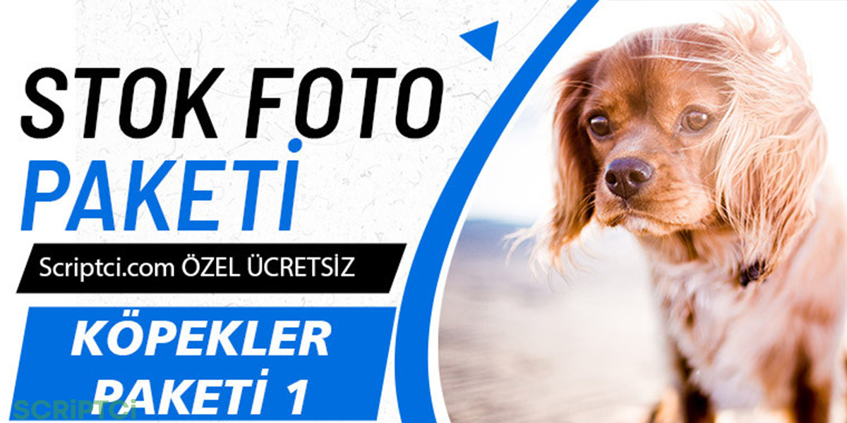 Hayvanlar Koleksiyonu - Köpekler Paketi 1