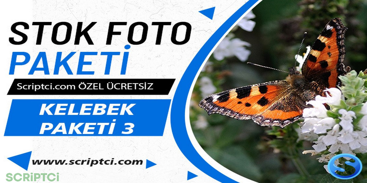 Hayvanlar Koleksiyonu - Kelebek Resim Paketi 3