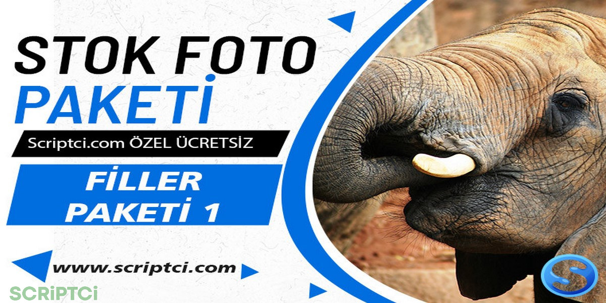 Hayvanlar Koleksiyonu - Filler Paketi 1