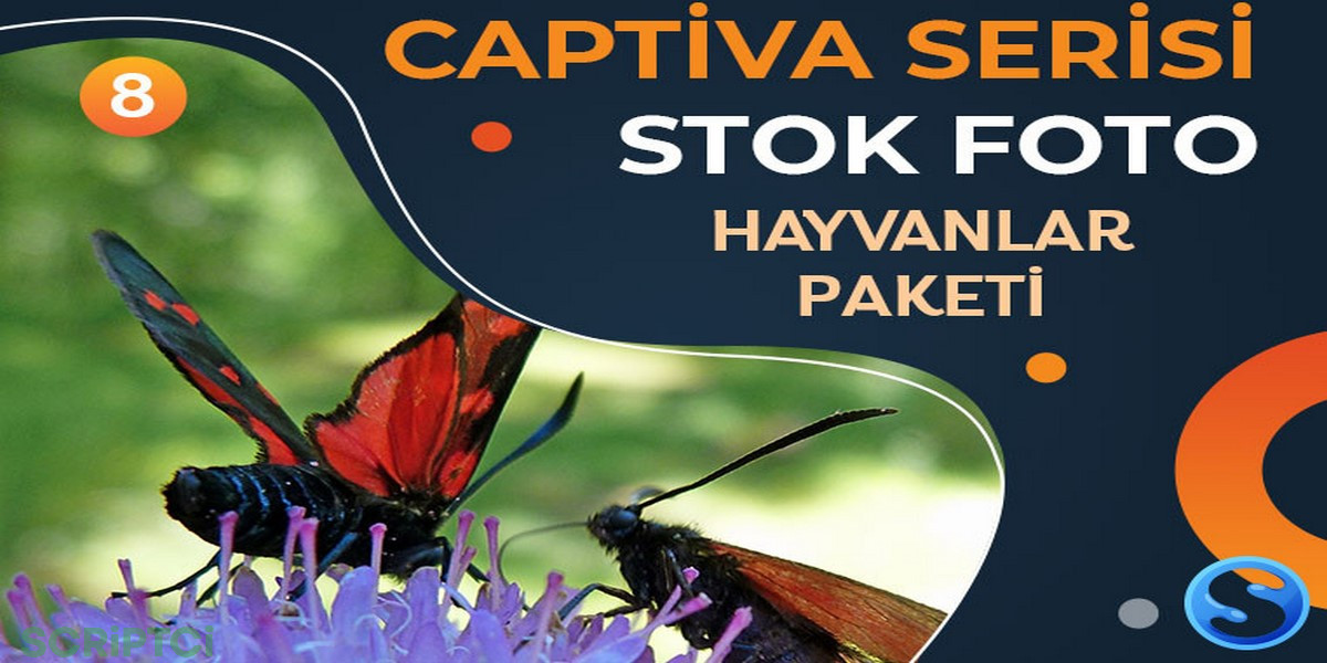 Captiva Serisi - Hayvanlar Resim Paketi 8
