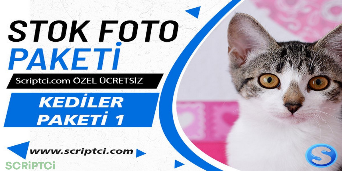 Hayvanlar Koleksiyonu - Kedi Resim Paketi 1