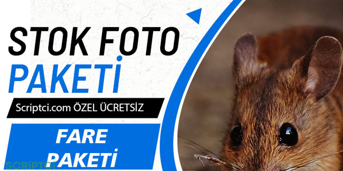 Hayvanlar Koleksiyonu - Fare Resim Paketi