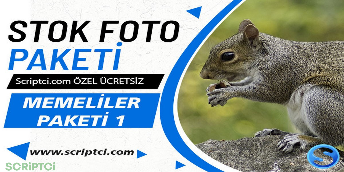 Hayvanlar Koleksiyonu - Memeliler Resim Paketi 1