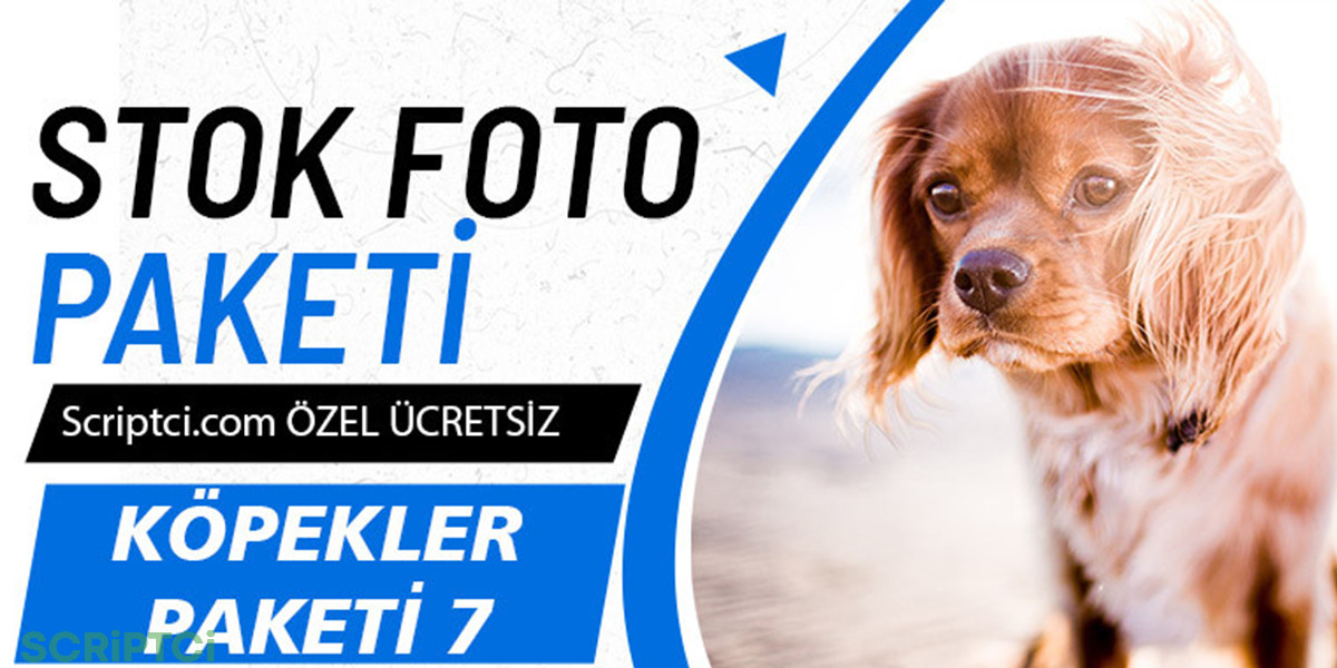 Hayvanlar Koleksiyonu - Köpekler Paketi 7
