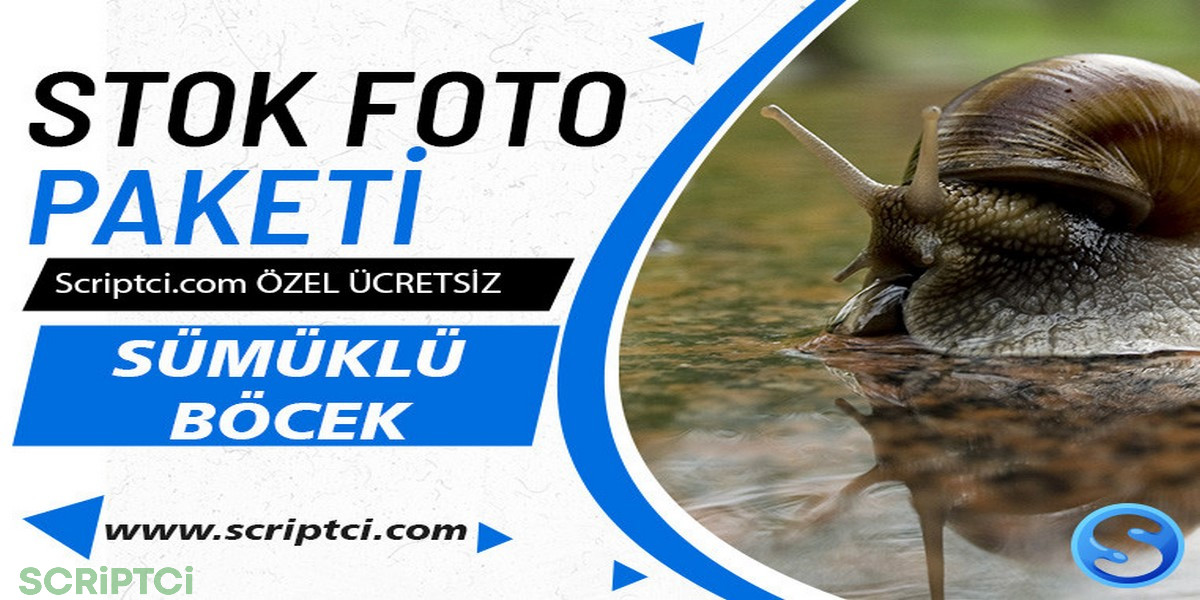 Hayvanlar Koleksiyonu - Sümüklü Böcek Resim Paketi